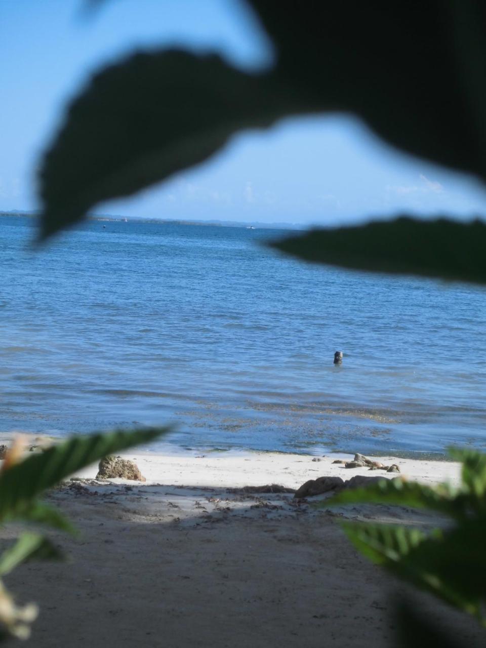 Hotel Faro Del Colibri Carenero Zewnętrze zdjęcie